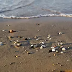 Enjoy Your Only 100mt From The Sea - Beahost *