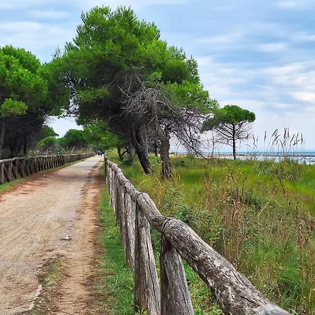 Διαμέρισμα Enjoy Your Only 100mt From The Sea - Beahost *