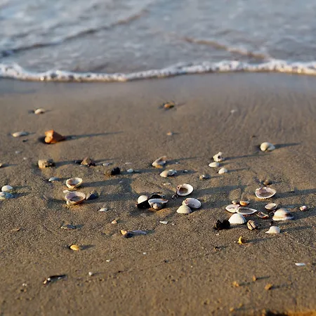Enjoy Your Only 100mt From The Sea - Beahost *