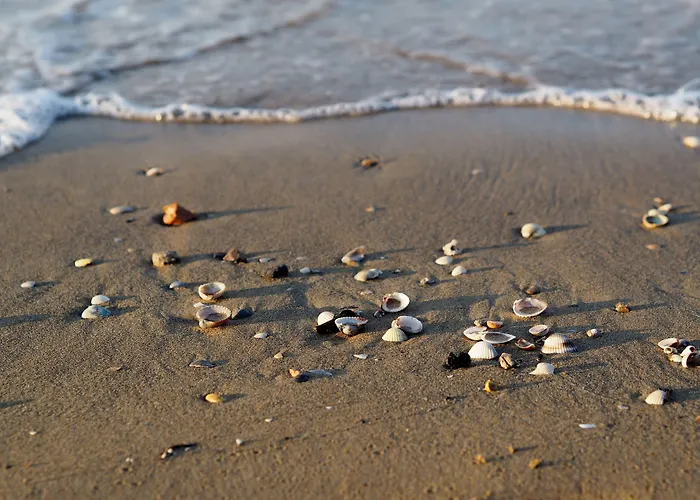 Enjoy Your Only 100mt From The Sea - Beahost *